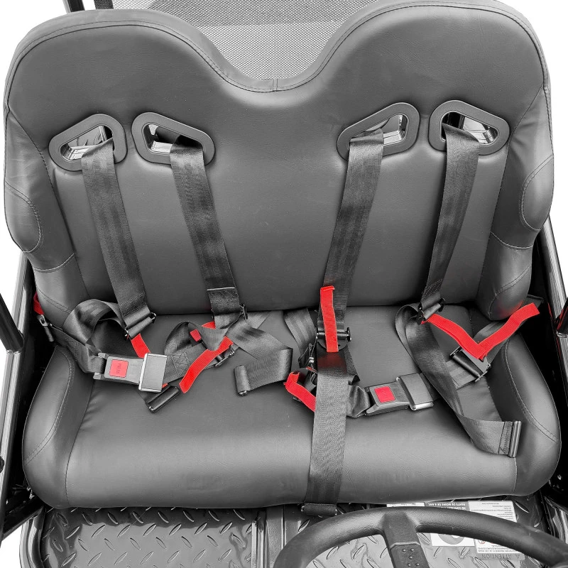 Buggy électrique 2000W