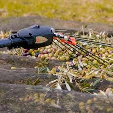 ELECTROLIV INFACO et Pieces